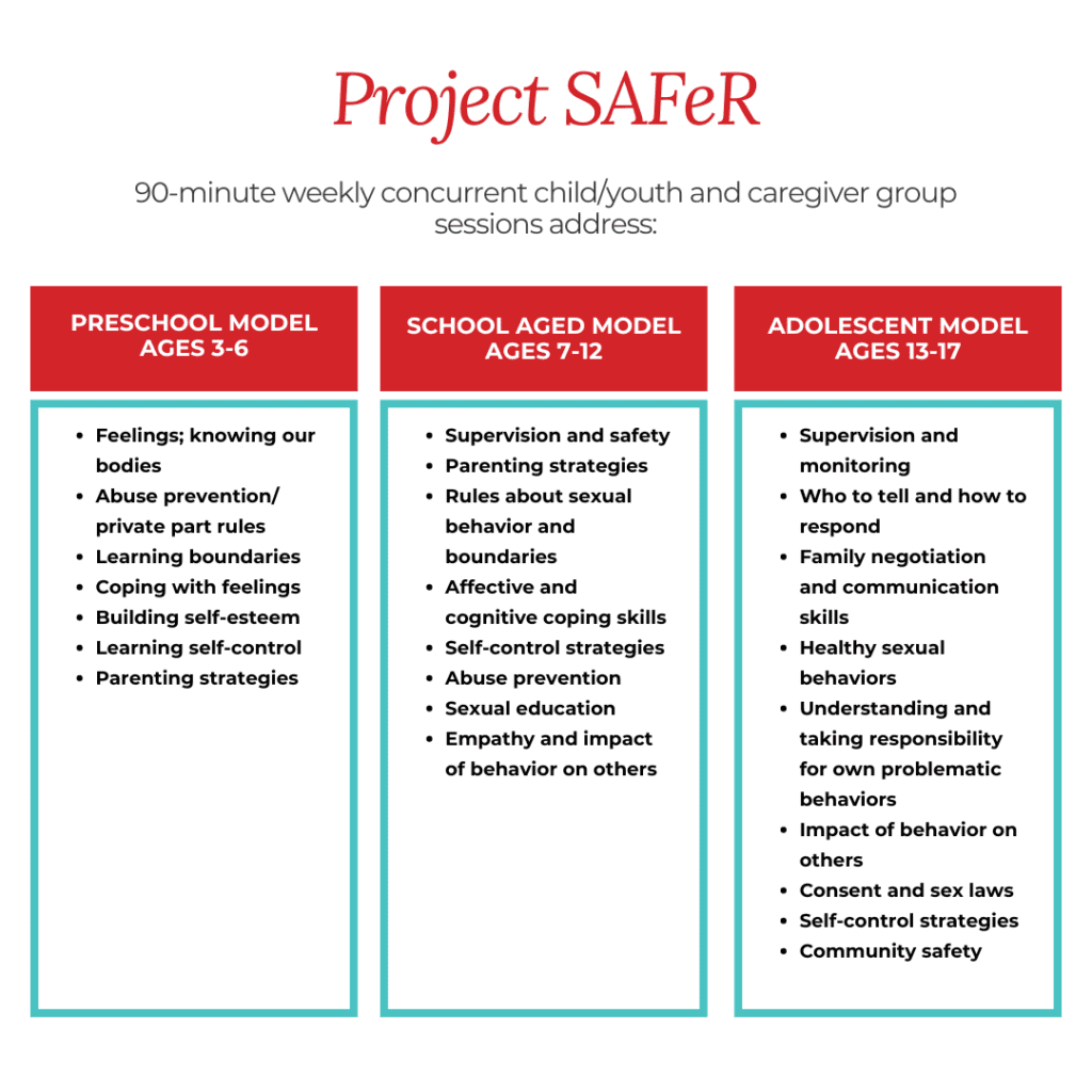 Project SAFeR Program descriptions